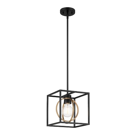 Designers Fountain Kew Gardens 60 Watt 1 Light Matte Black And Old Satin Brass Convertible Pendant D276M-8P-MB
